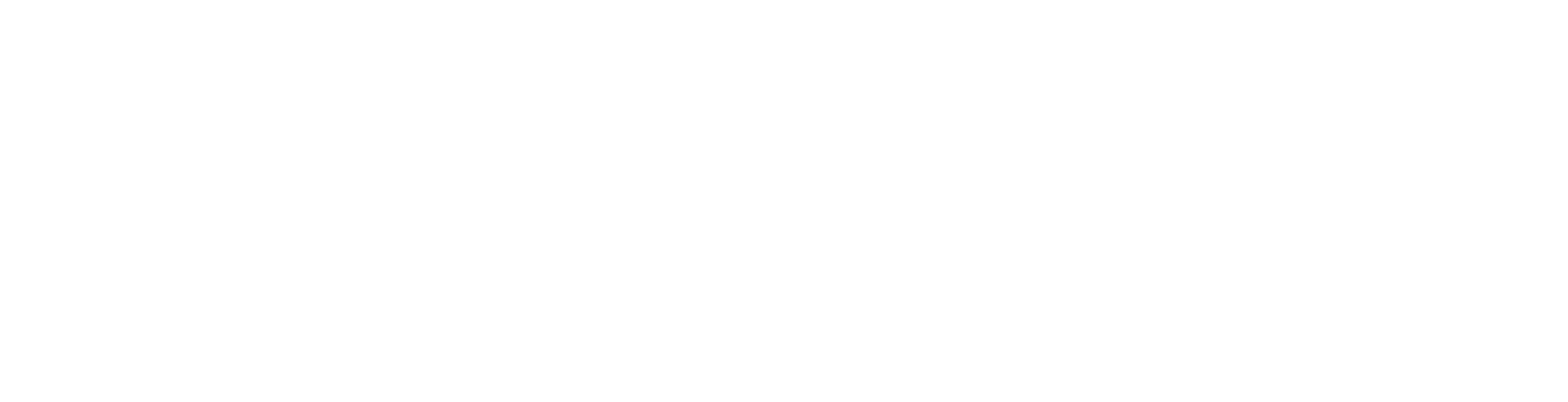 Storyr